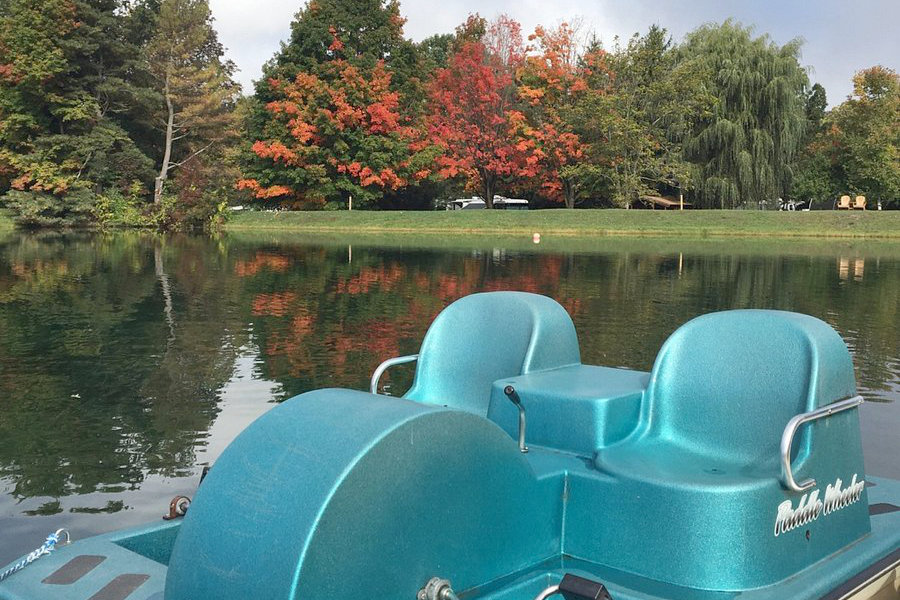 Paddle Boat